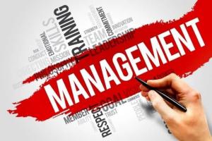 biu-college-of-management